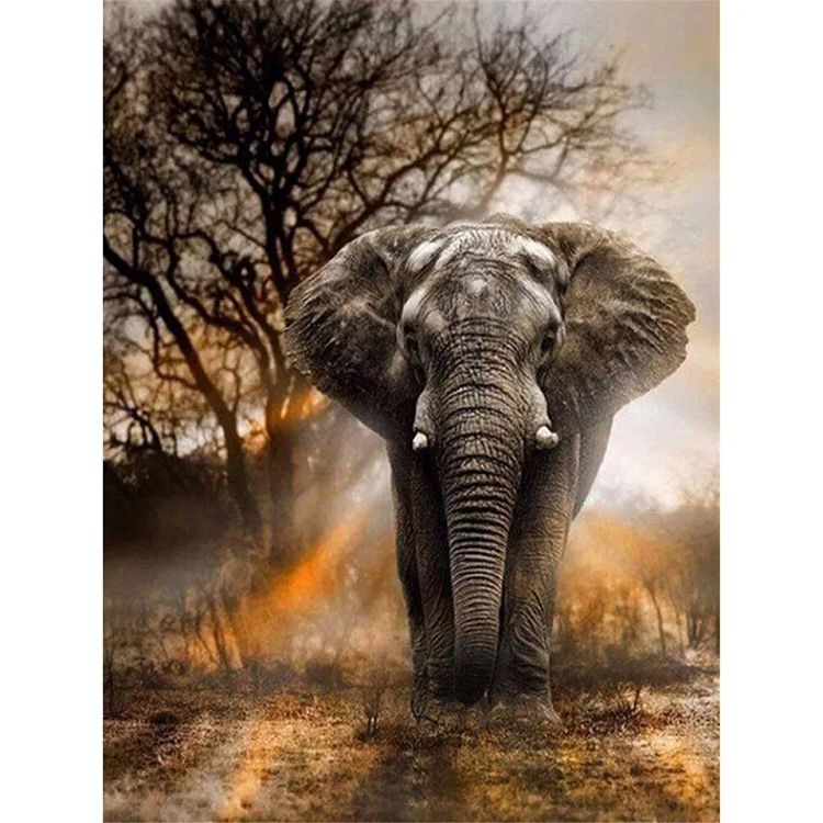 Olifant Groot - Diamond Painting 40x50