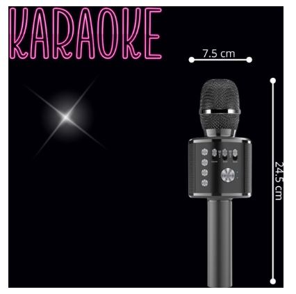 Karaoke Microfoon Kinderen Bluetooth Verbinding