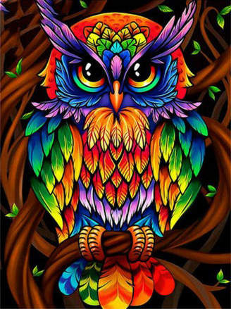 Uil Kleuren - Diamond Painting 40x50