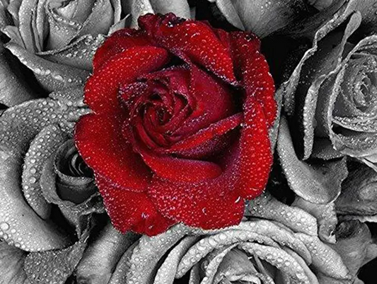 Rode Roos - Diamond Painting 40x50