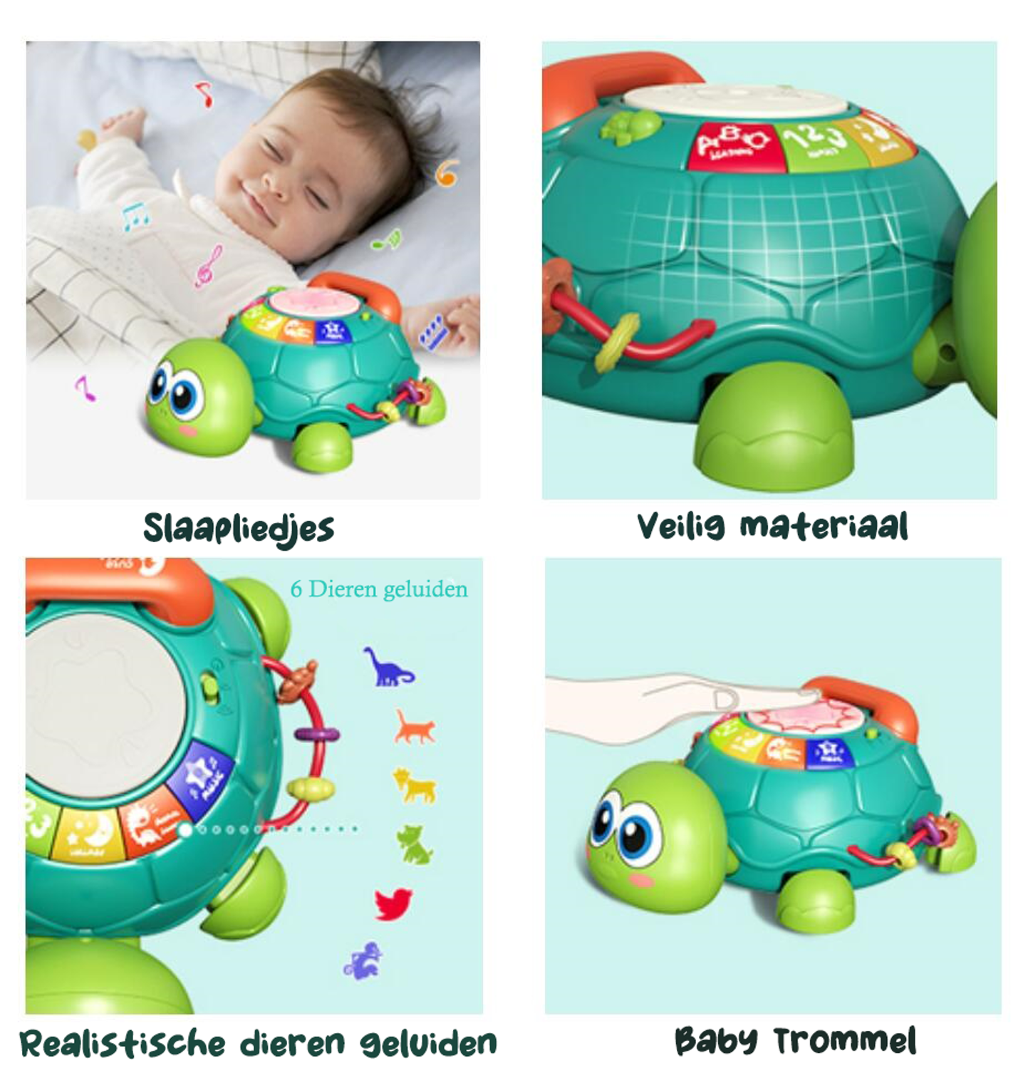 Wandelende Schildpad met Muziek
