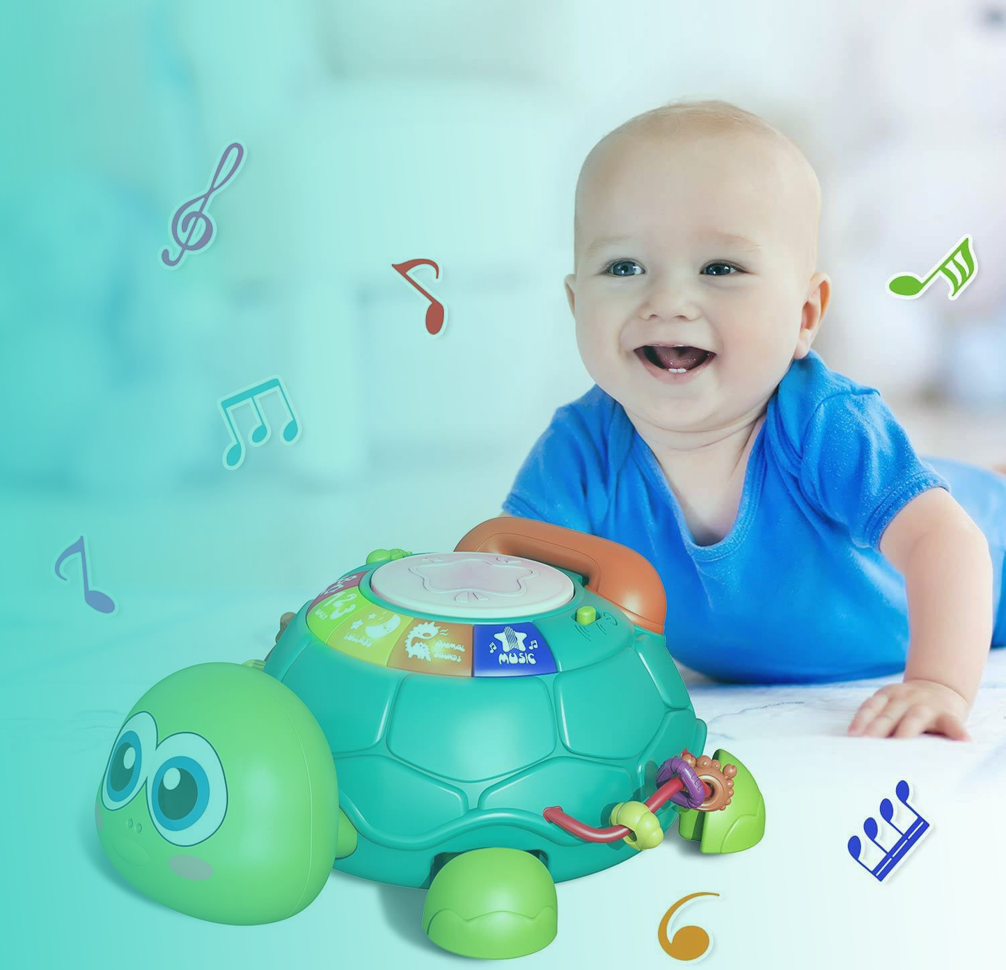 Wandelende Schildpad met Muziek