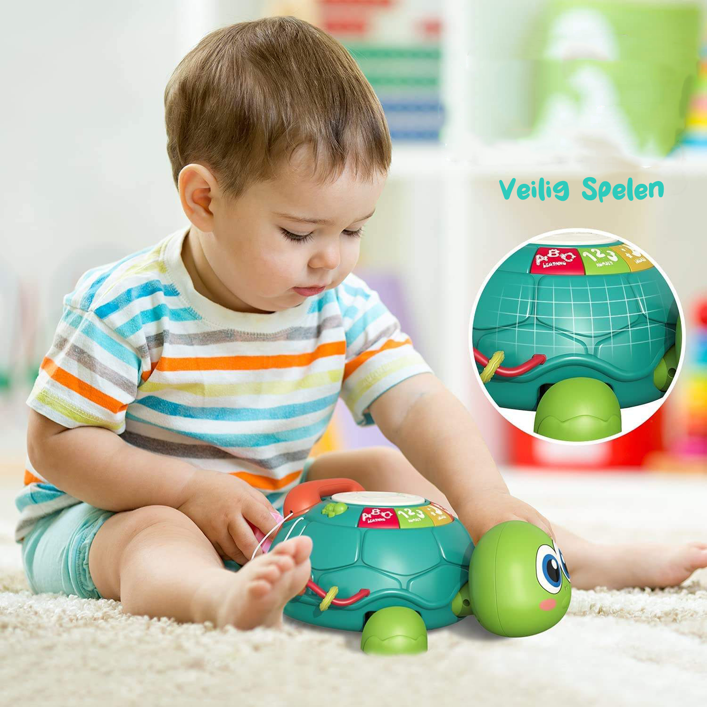 Wandelende Schildpad met Muziek