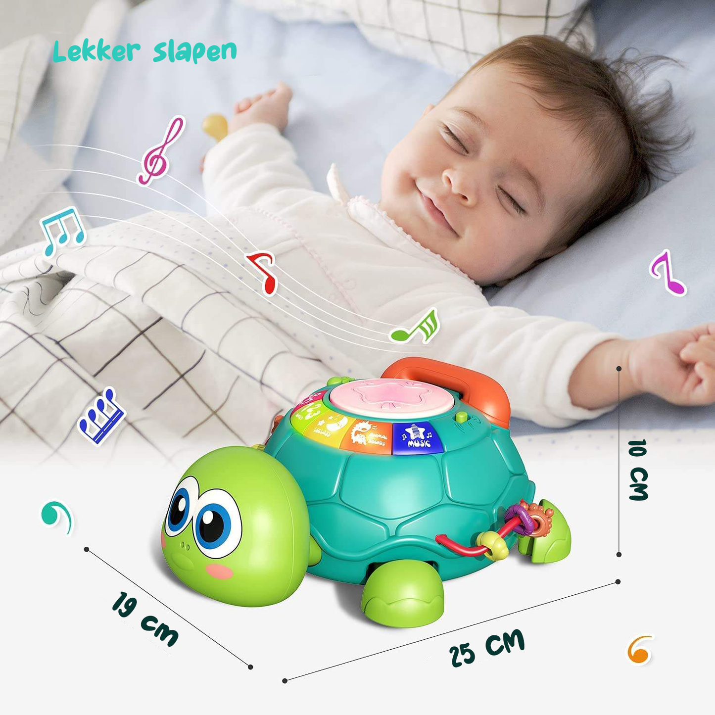 Wandelende Schildpad met Muziek
