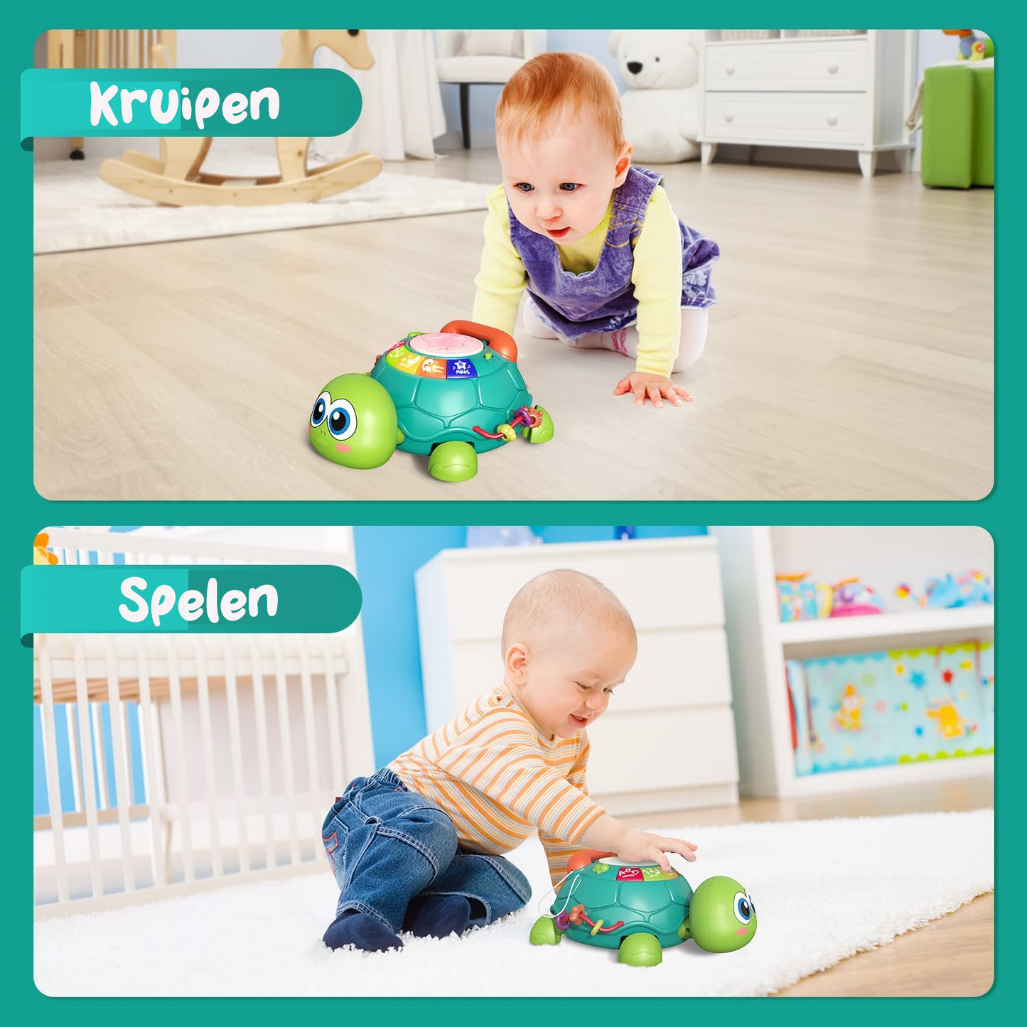 Wandelende Schildpad met Muziek
