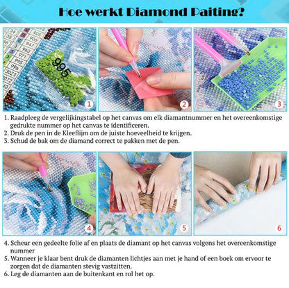 Uil Kleuren - Diamond Painting 40x50