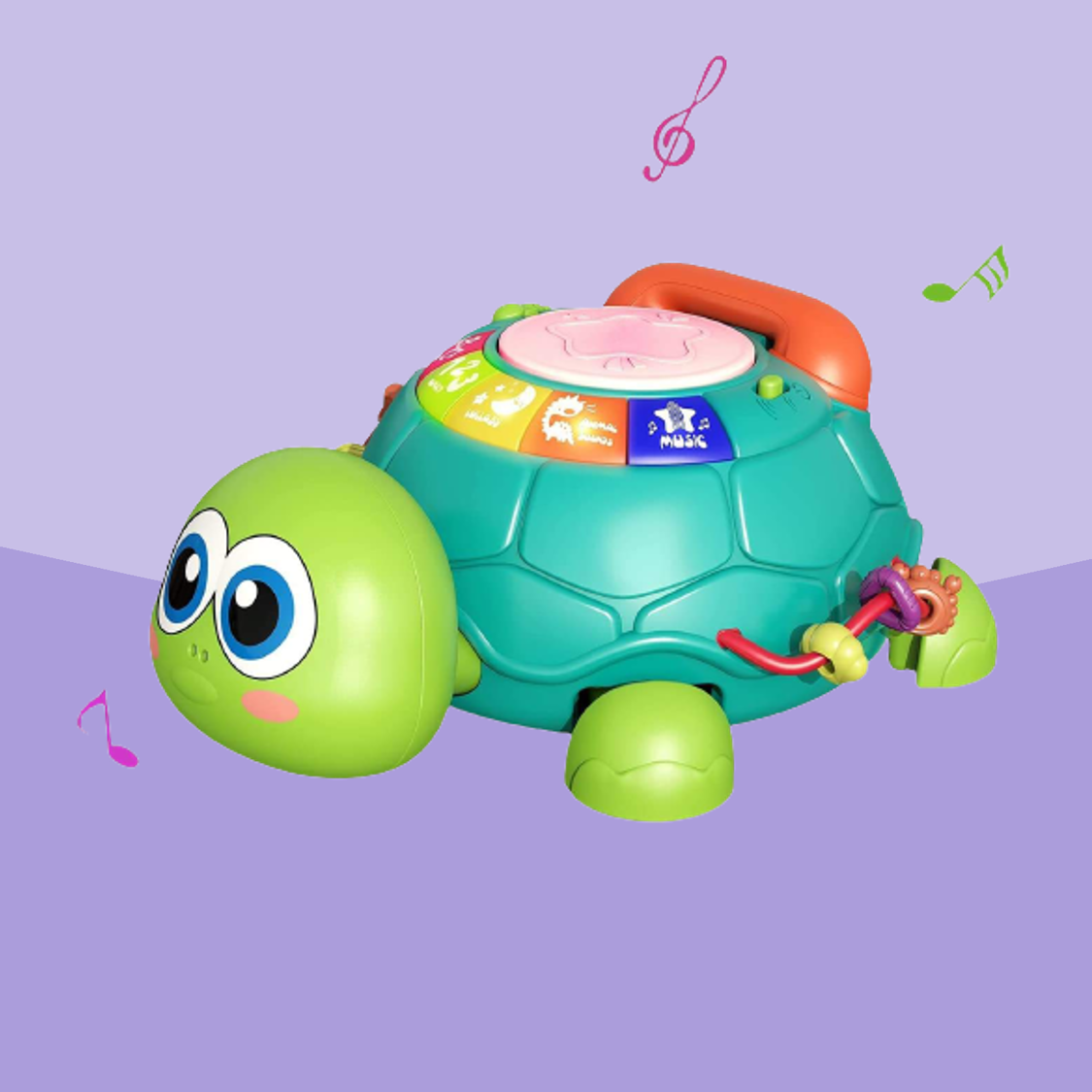 Wandelende Schildpad met Muziek